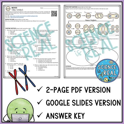 Meiosis Amoeba Sisters Video Handout Science Is Real Education