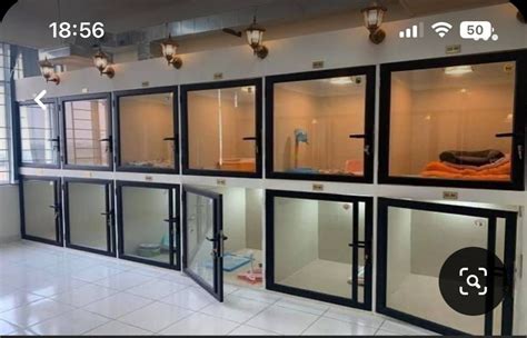 pin tillagd av anastasiya ponomarenko pa dlya poiska pinov hunddagis