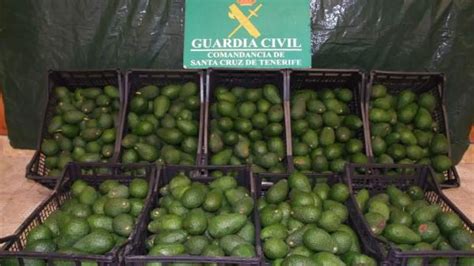 Detenido Un Hombre Por El Robo De Más De 300 Kilos De Aguacates En Una