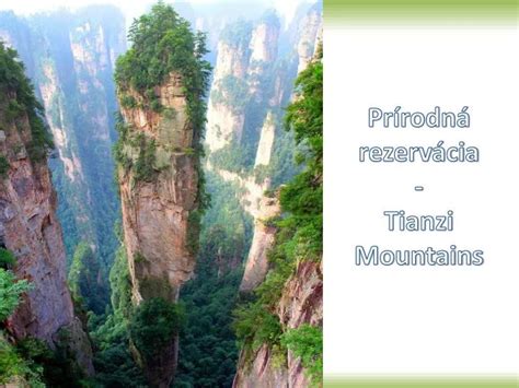 PPT Prírodná rezervácia Tianzi Mountains PowerPoint Presentation