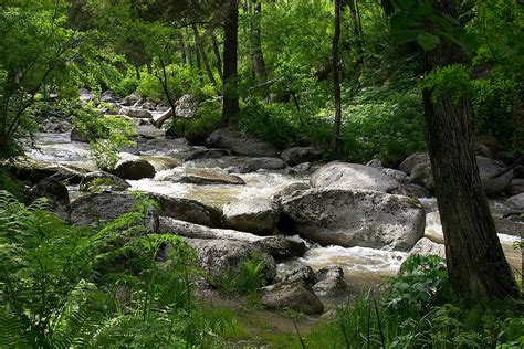 Altai Nature River - Free photo on Pixabay - Pixabay