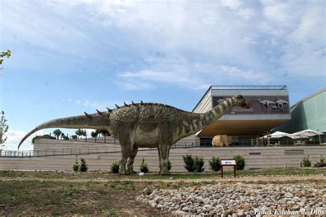 El Museo Paleontol Gico Duplica En Visitas Al De La Santa Cruz De