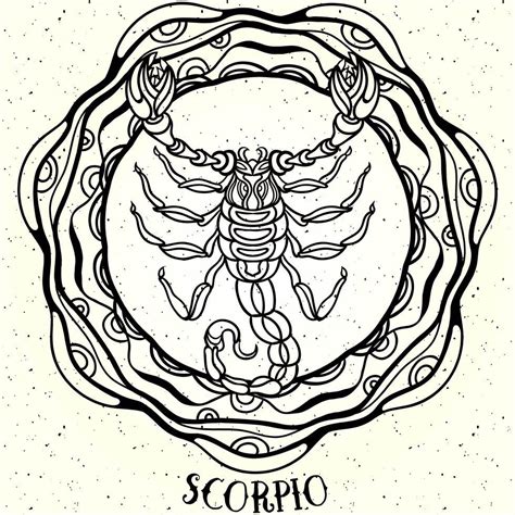 Tu Signo Zodiacal De Escorpio Caldero Y Escoba Escorpio Signos Del Zodiaco Signos