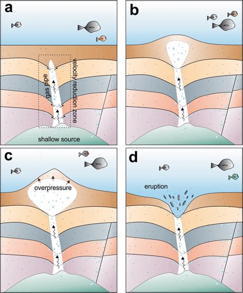 Development Of A Pockmark Formation A Gas Pipe Rises Towards The