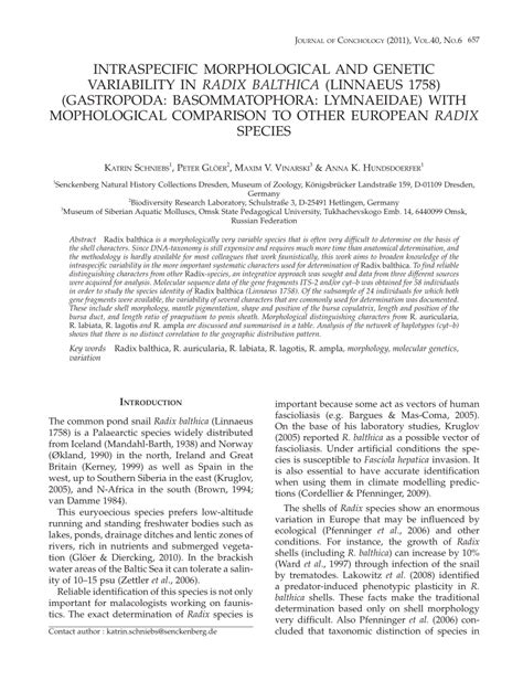 Pdf Intraspecific Morphological And Genetic Variability In Radix