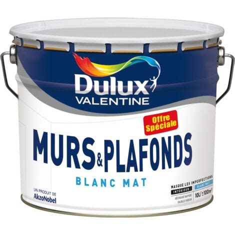 Peinture Blanche Monocouche pour Murs Plafond Intérieur Série