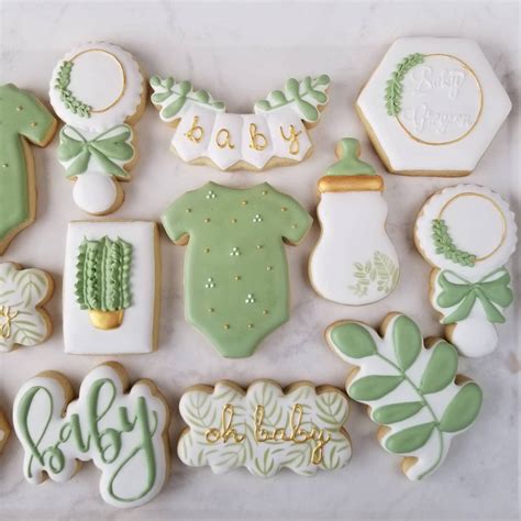 Botanical Baby Shower Cookies 2 Dozen Oh Baby Succulent Baby Shower