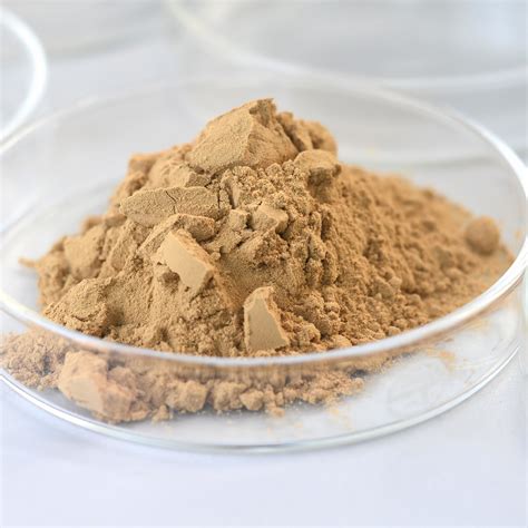 High Temp Amylase Alcohol Enzyme For MSG Starch Sugar Industry