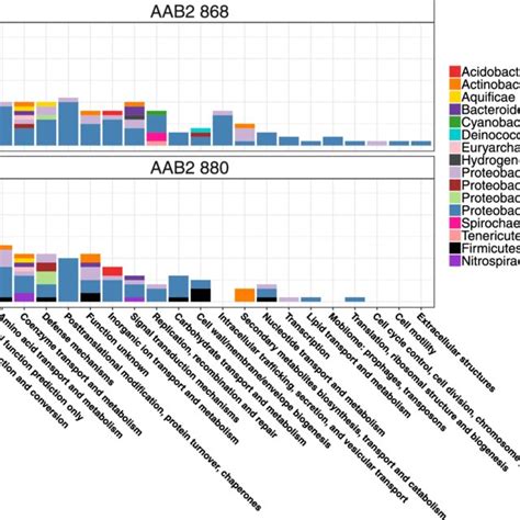 Horizontally Transferred Genes By Phylogenetic Origin And Functional