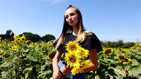 Hayling Island Sunflower Farm S Plea Over Naked Photo Shoots BBC News