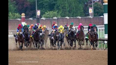 2024 Belmont Stakes Horses - Vivie Tricia