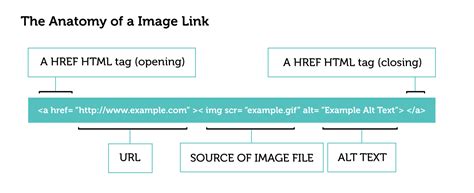 anatomy   link   link building book aira digital