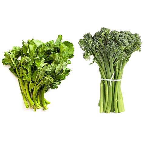 Broccoli Rabe vs. Broccolini