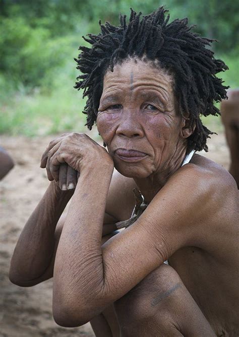 Bushman Woman With Traditional Hairstyle Tsumkwe Namibia African