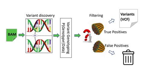 GitHub Mahendra687 Methods In Genomic Variant Calling The Basics Of