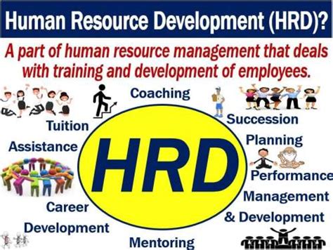 What Is Human Resource Development Hrd Market Business News