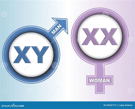 Sex Chromosome Signs Stock Photography - Image: 33645772