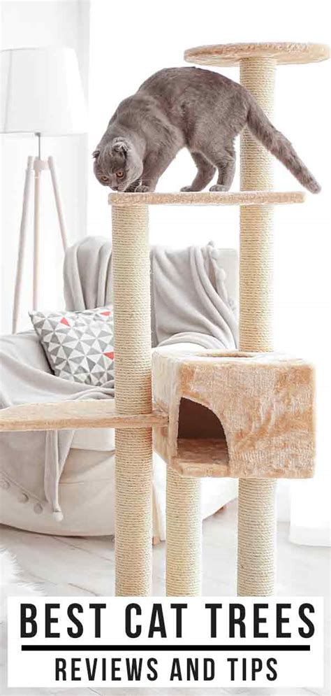 Best Cat Tree Reviews And Tips To Help You Pick The Right Cat Tree