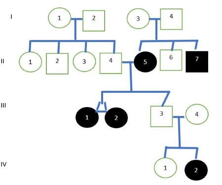 Given The Following Pedigree Homework Study