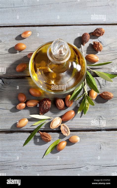 Argan nuts from Argan tree, Argania spinosa, leaves and Argan oil bottle Stock Photo - Alamy