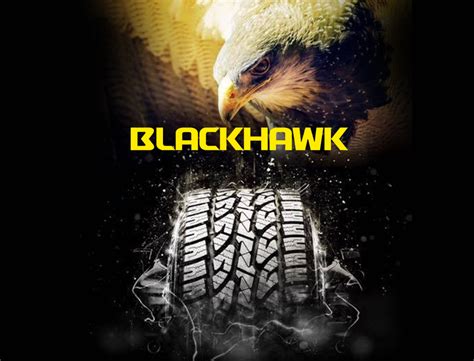 Blackhawk Tires - Chinese Trucktire