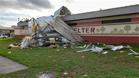 70 Dogs, Cats Survived As Tornado Ripped Roof Of Houston Area Animal ...