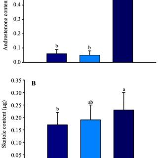 Effect Of Sex On The Androstenone A And Skatole B Contents In Back