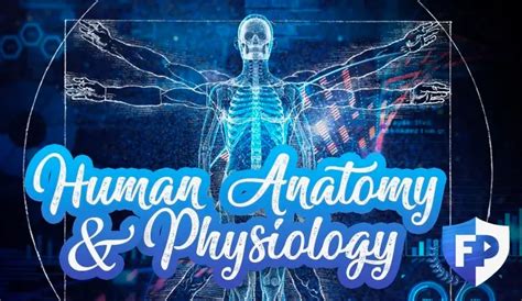 Online High School Human Anatomy And Physiology Class Freedomproject Academy