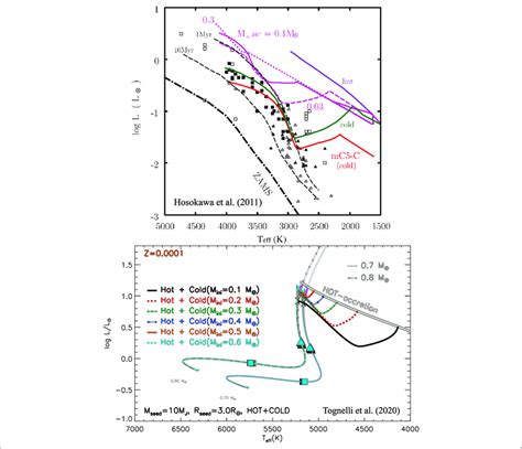 Evolution In The HR Diagram Of Purely And Partially Hot Models