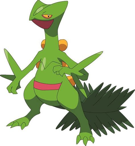 Pokémon 254- Sceptile | Pokémon desenho, Pokemon, Pokémon rpg