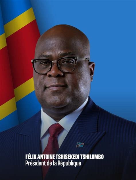 Art 217 De La Constitution De La RDC Un Outil Juridique Ou Un