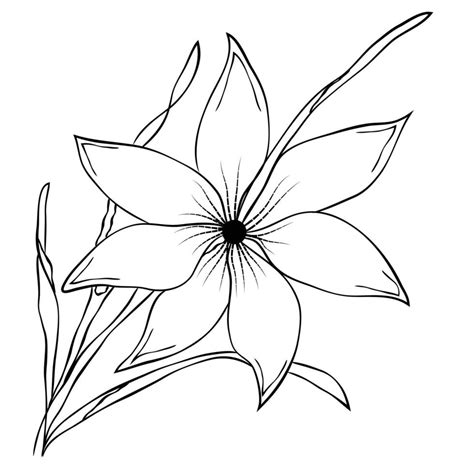 Easy Black And White Drawing