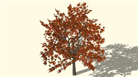 Maple 3d Warehouse