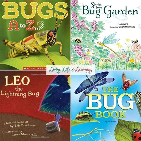 Bug Books For Kids