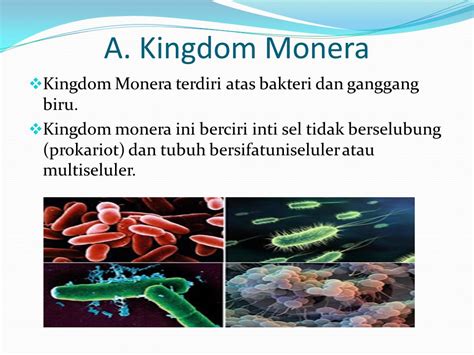 Yang Termasuk Kingdom Monera Adalah Studyhelp