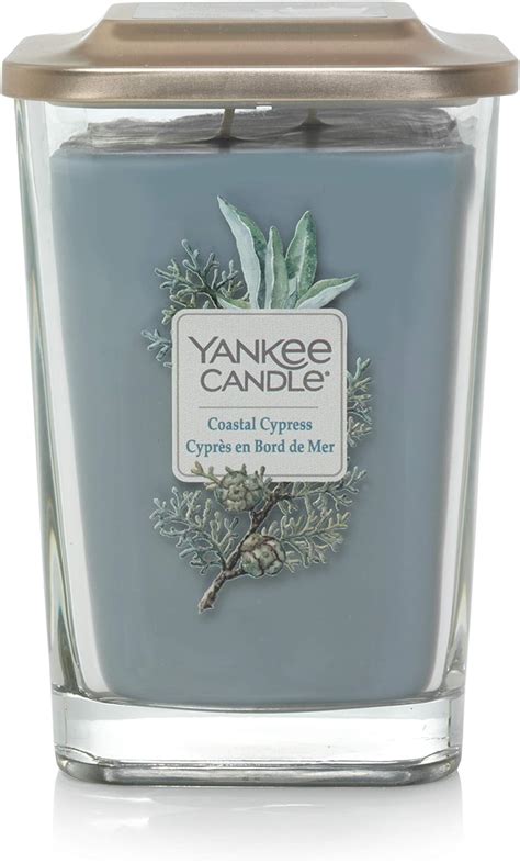 Amazon Yankee Candle Elevation Coll W Plt Lid