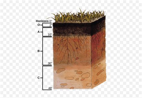 C Physical Properties Of Soil Biology Libretexts Meaning Of Soil