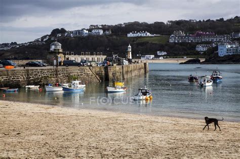 St. Ives harbour — background, boats - Stock Photo | #167581496