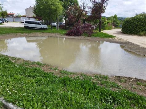 Imamo Bazen Dje Je Igrali Te Nije Nam Ni Potrebno