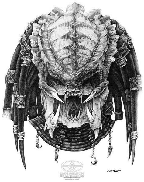 Predator Face Drawing at PaintingValley.com | Explore collection of ...