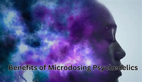 What Is Microdosing Mushrooms And How Does It Feel Like