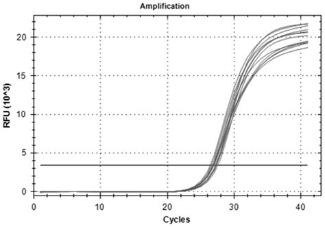 Paeonia Ostii Reference Gene Under Drought Stress And Special Primer