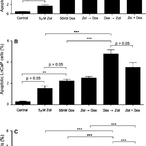 Evect Of Doxorubicin And Zoledronic Acid In Sequence And In Combination