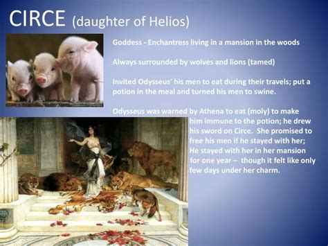 PPT - CIRCE (daughter of Helios) PowerPoint Presentation - ID:6855096