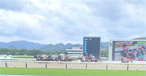 競馬で勝ちたい人必見。プログラミン初心者が最短でai指数を0からつくる方法｜底辺トレーニー