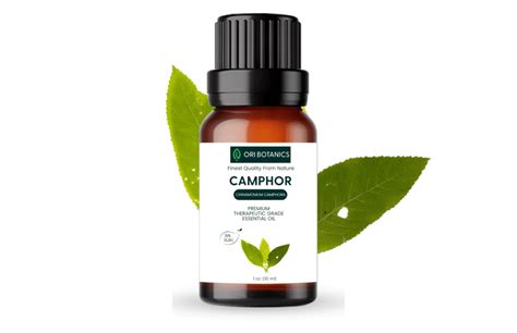 Camphor Essential Oil Ori Botanics