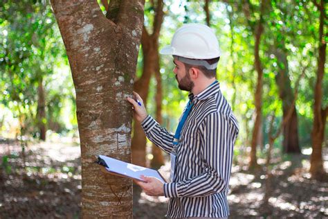 Foi Notificado Pela Fiscaliza O Ambiental Veja Como Resolver