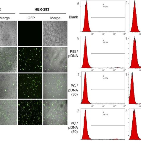 Optimal N P Ratio Of Pc Pdna Complexes For Transfection A Gfp