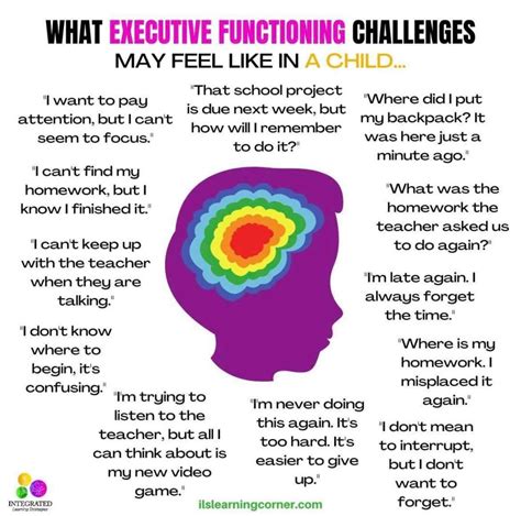 What Is Executive Functioning Artofit