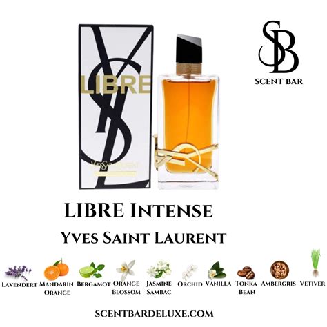 LIBRE INTENSE EDP – Scent Bar Deluxe